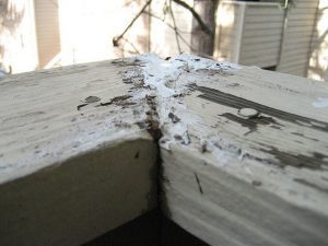 rotten, wood, cracked
