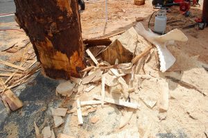 wood, debris, sawdust