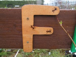 wooden, wood, letter, f