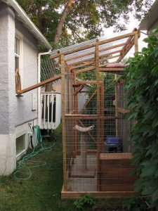 catio, cats, wooden, house