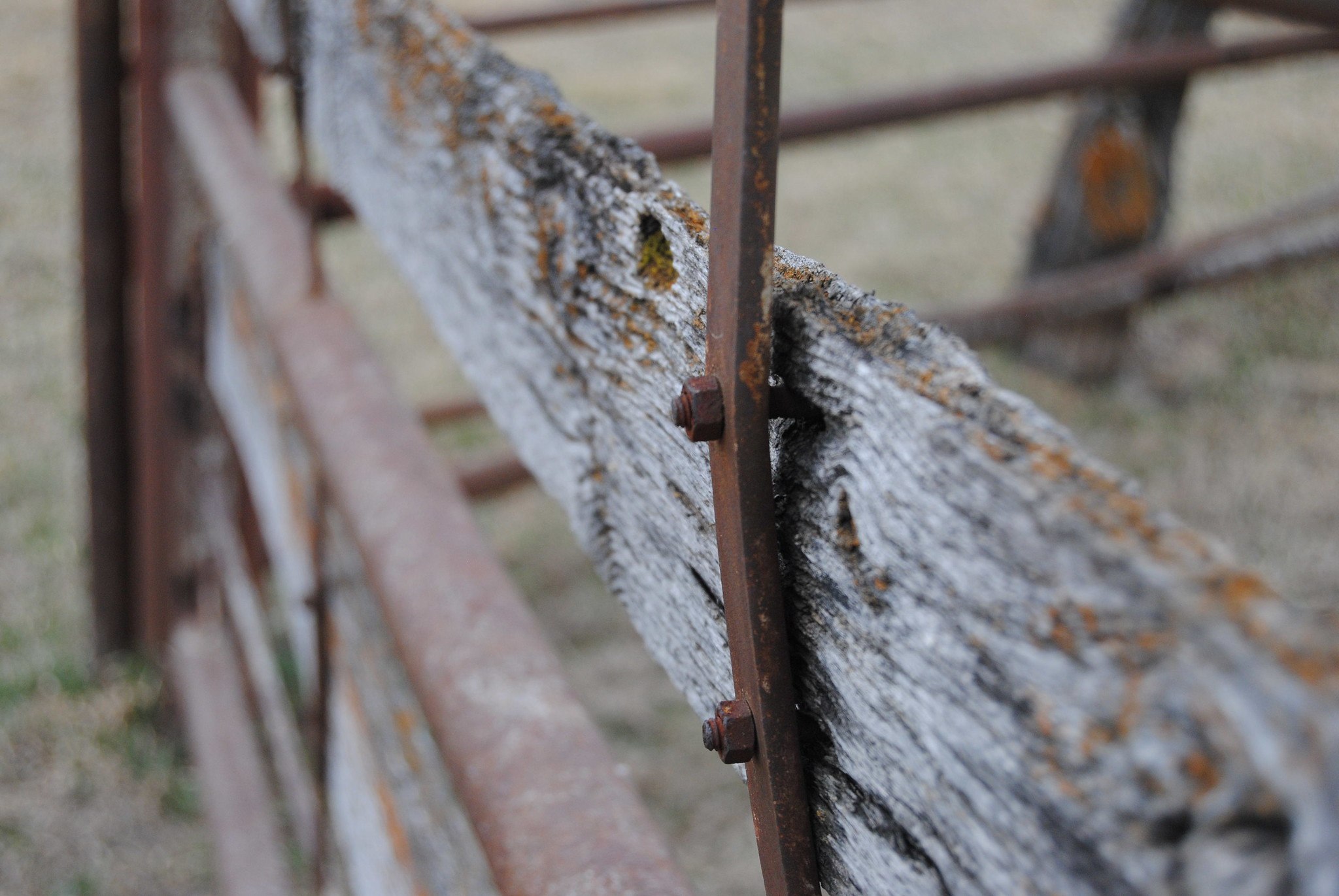 wood and metal fence