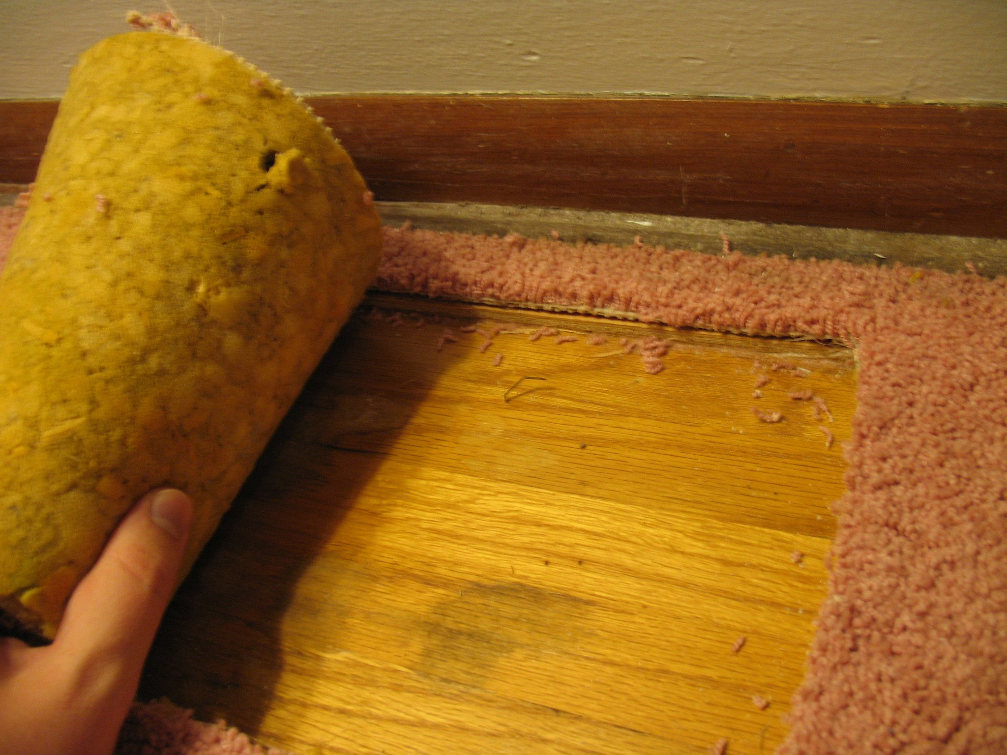 Remove Carpet Staples From Wood Floor, How To Get Carpet Pad Off Hardwood Floor