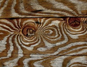 wood, lumber, grains, zebra, contrast