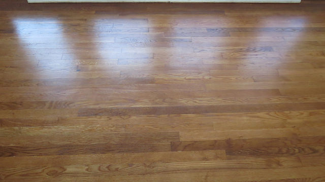 Re Finishing Hardwood Floors With, How To Clean Human Urine From Hardwood Floors