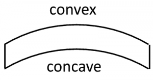 concave, convex, curved, sketch
