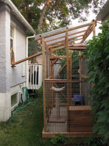 Pallet shop cat enclosure