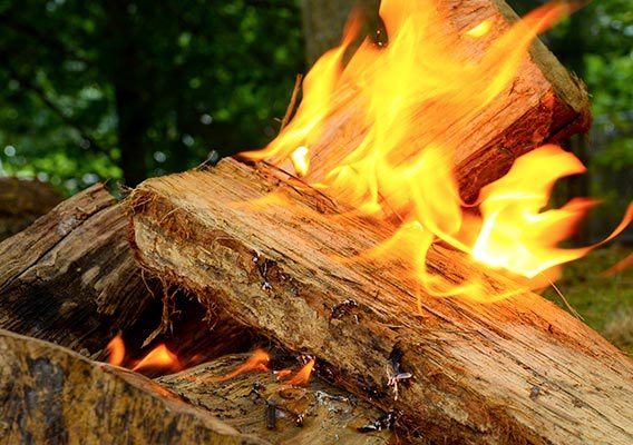 dry wood in the oven