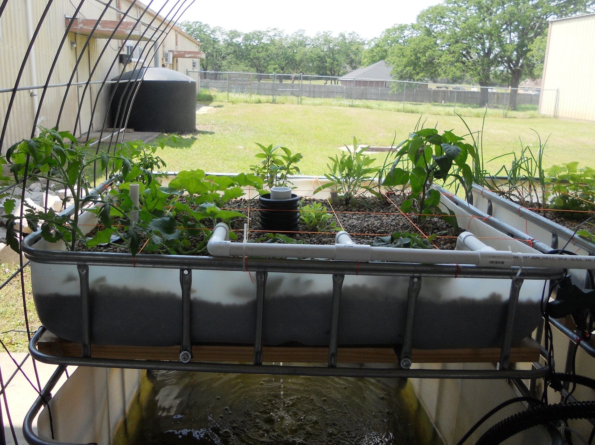 aquaponics, garden, greenhouse