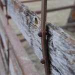 Wooden Fence with Metal Post