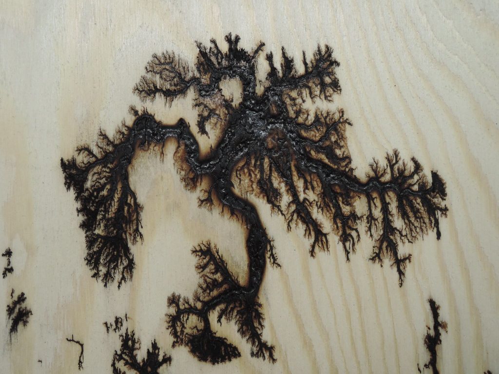 Lichtenberg figure, plywood, burnt wood