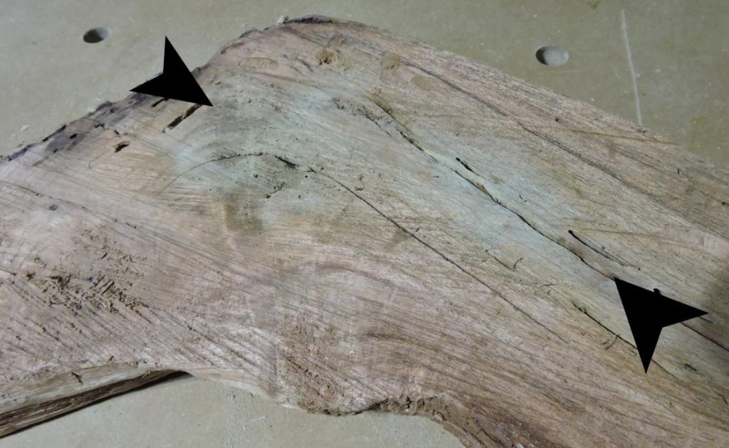 mesquite, bleached by grey