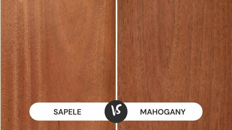Sapele plywood and mahogany grain comparison on workbench