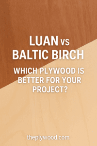 “Luan and Baltic Birch plywood sheets side by side on a workbench under natural light”