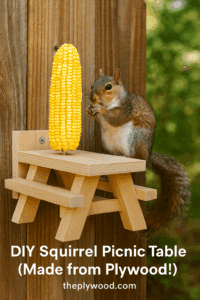 DIY Plywood Squirrel Picnic Table Guide