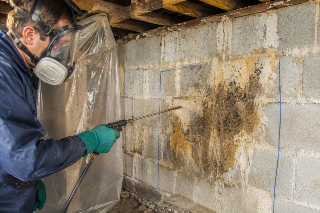 Technician wearing a respirator and protective gloves spraying a masonry wall with chemical biocide to eliminate dry rot fungus during a professional structural wood restoration project.