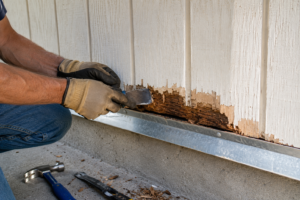T1-11 Siding Repair: Fix Rot, Holes and Cracks Contractor removing rot during a T1-11 siding repair