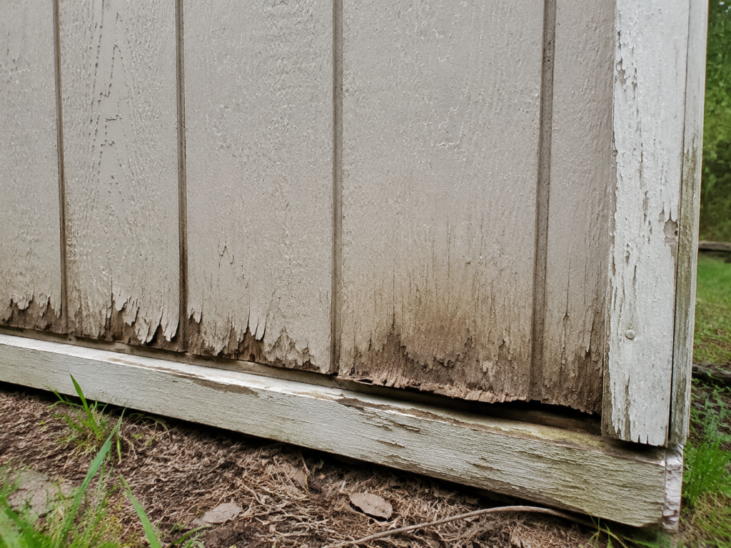 Peeling paint and moisture damage along the bottom of T1-11 siding