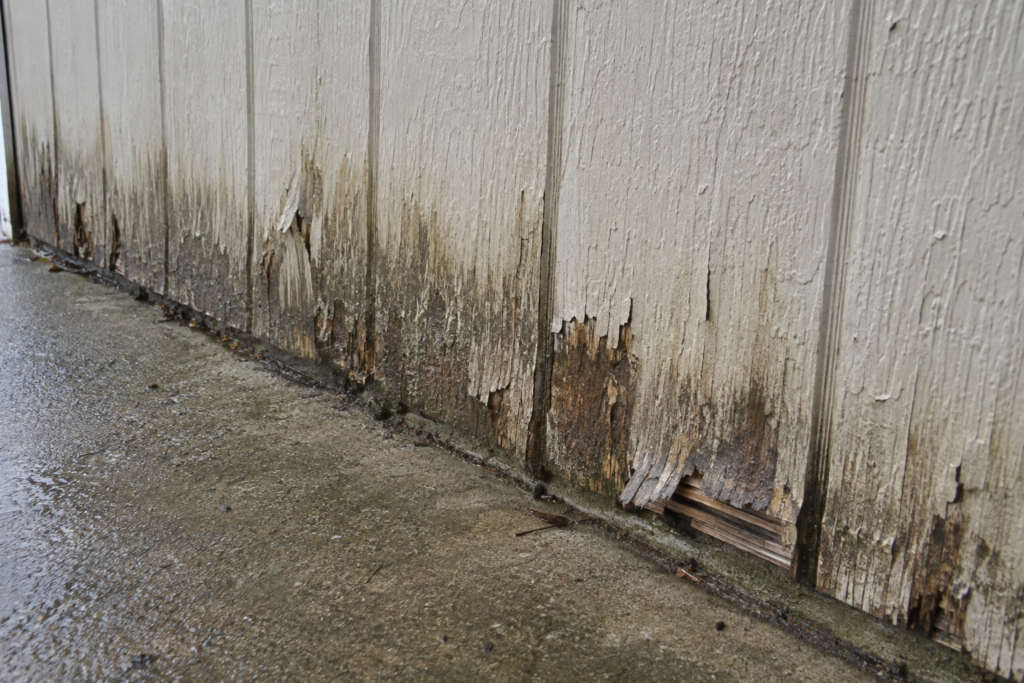 Rotted T1-11 garage siding with peeling paint and delaminated plywood along the bottom edge